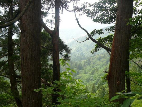 初めて景色が少しだけ見えました。